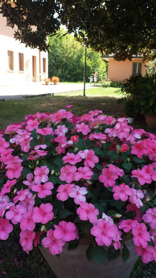 Bed and Breakfast Quo Vadis Qui Vieni Ровиго Экстерьер фото